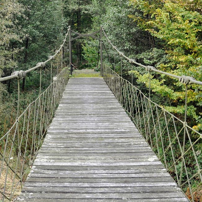 Die Brücke zwischen Laer und Brooklyn: Johann August Röbling