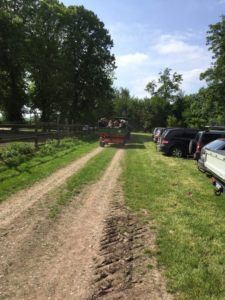 Rapsblüten- und Waldnachmittag 2018 in Billinghausen